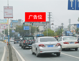 白領頭